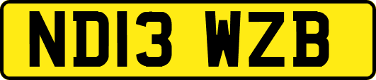 ND13WZB