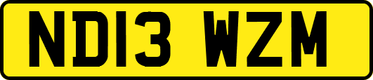 ND13WZM