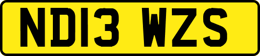 ND13WZS