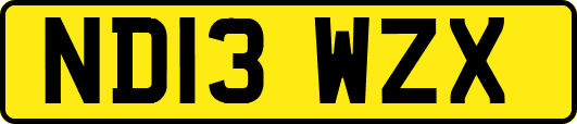 ND13WZX