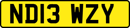 ND13WZY