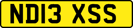 ND13XSS