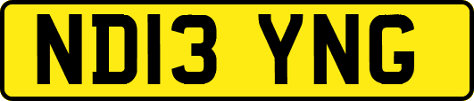 ND13YNG