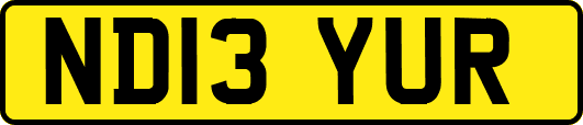 ND13YUR