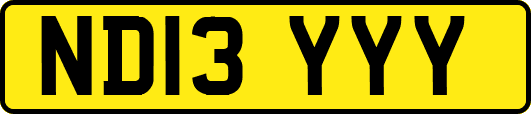 ND13YYY