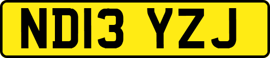 ND13YZJ