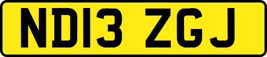 ND13ZGJ
