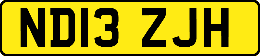 ND13ZJH