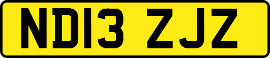 ND13ZJZ