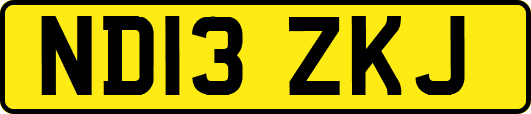 ND13ZKJ