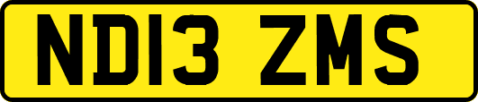 ND13ZMS