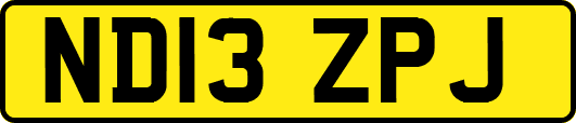 ND13ZPJ