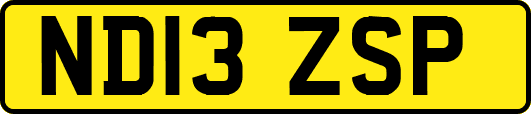 ND13ZSP