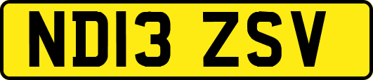 ND13ZSV