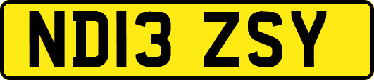 ND13ZSY