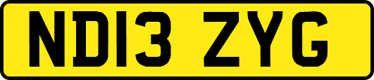 ND13ZYG