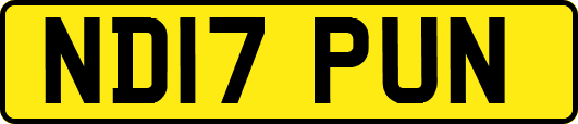 ND17PUN