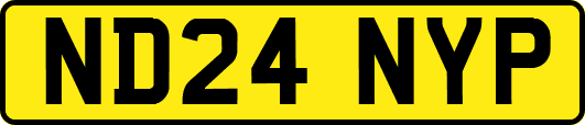 ND24NYP