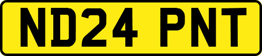 ND24PNT