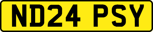 ND24PSY
