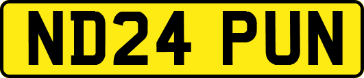 ND24PUN