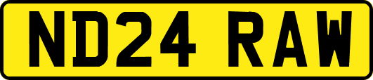 ND24RAW