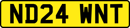 ND24WNT