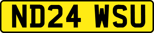 ND24WSU