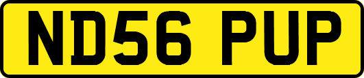 ND56PUP