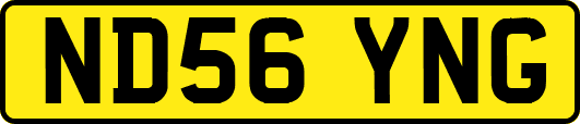 ND56YNG