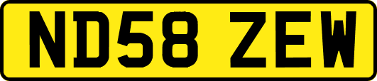 ND58ZEW
