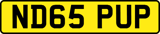ND65PUP