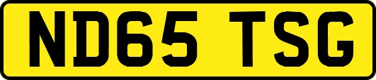 ND65TSG