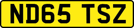 ND65TSZ