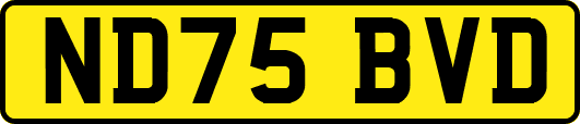 ND75BVD