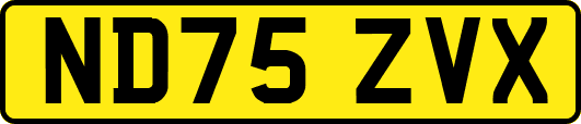 ND75ZVX