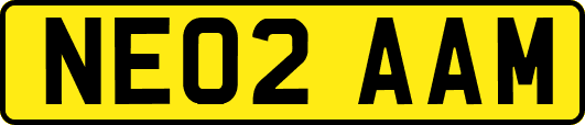 NE02AAM