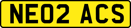 NE02ACS