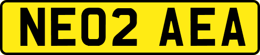 NE02AEA