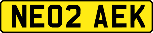 NE02AEK