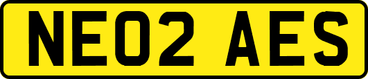 NE02AES