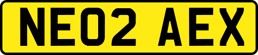 NE02AEX