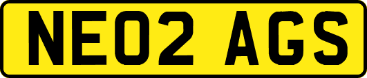 NE02AGS