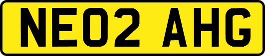 NE02AHG