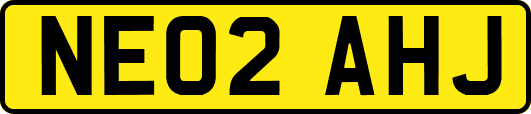 NE02AHJ