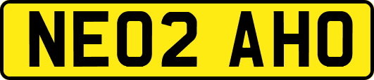 NE02AHO
