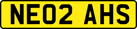 NE02AHS