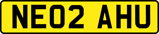 NE02AHU