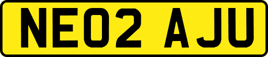 NE02AJU