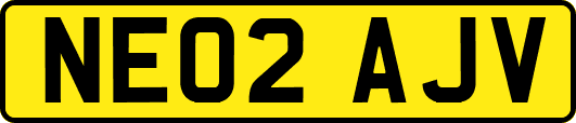 NE02AJV